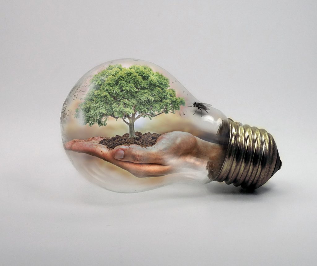 tree in bulb